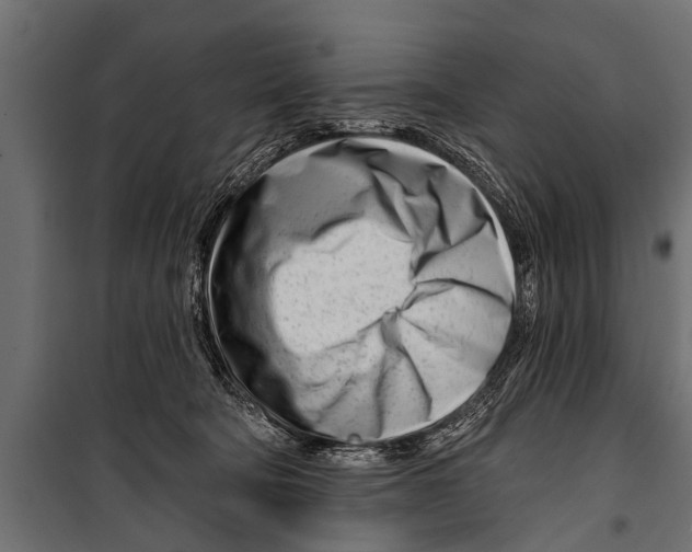 X0000099960322200806201343