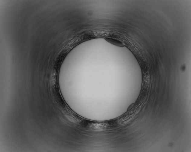 X0000099960323200806201343