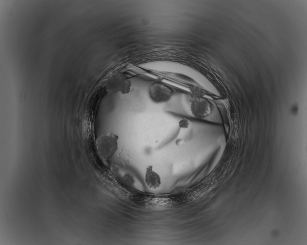 X0000099960324200806201343