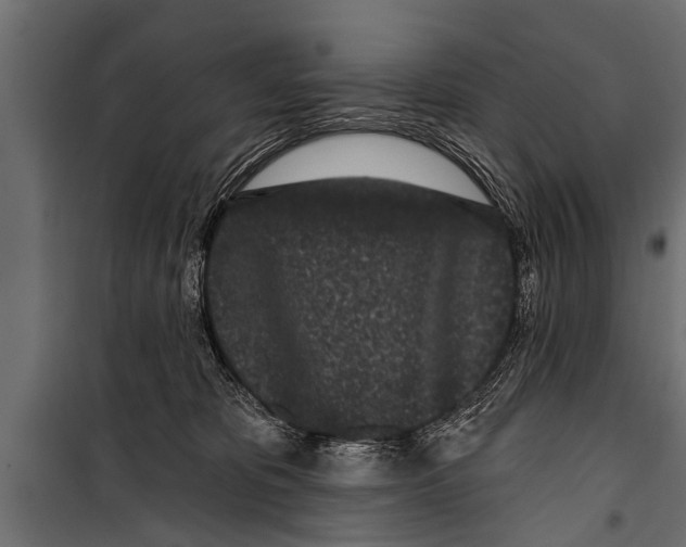X0000099960325200806201343