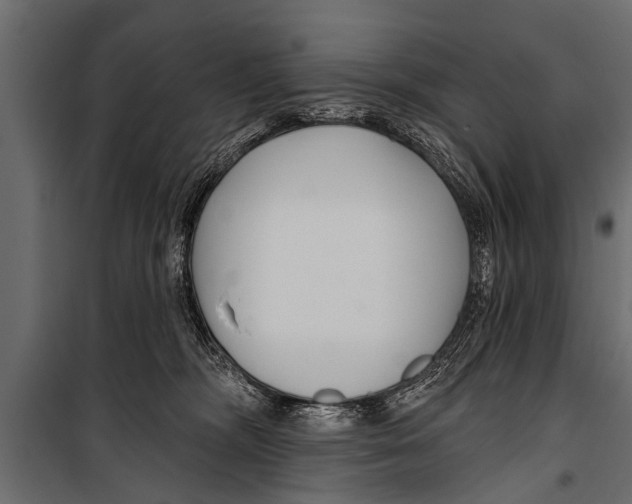 X0000099960326200806201343