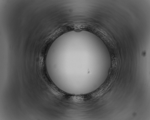 X0000099960327200806201343