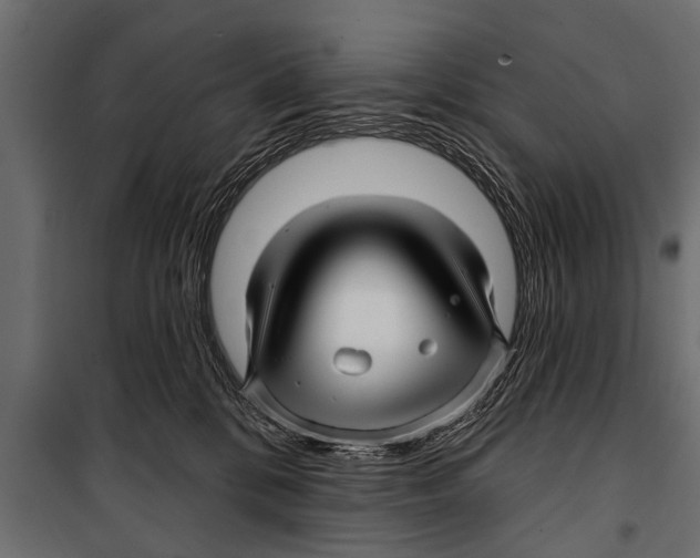 X0000099960328200806201343