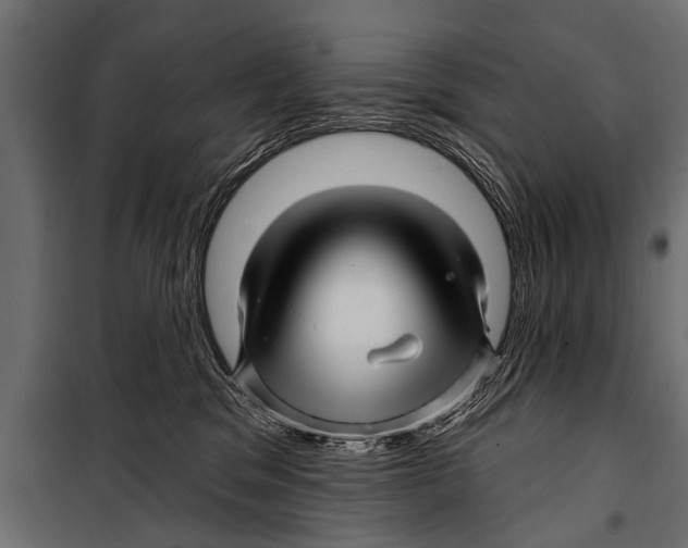 X0000099960329200806201343