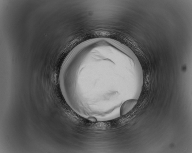 X0000099960330200806201343