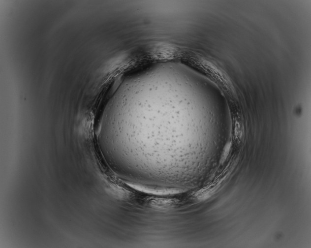 X0000099960332200806201343