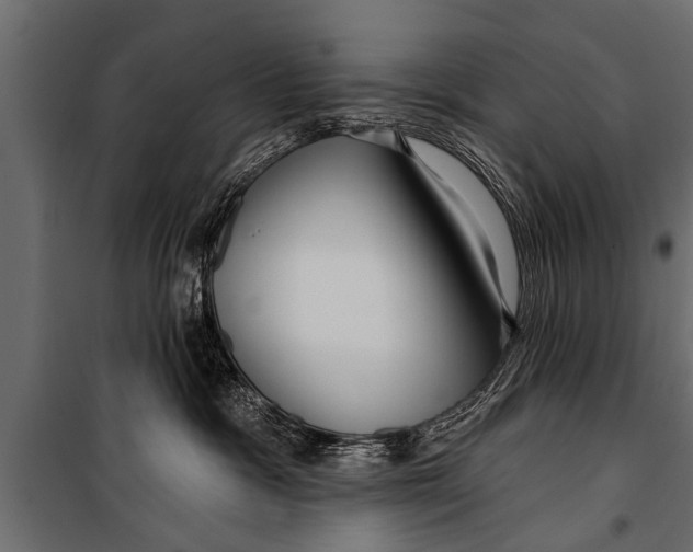 X0000099960333200806201343