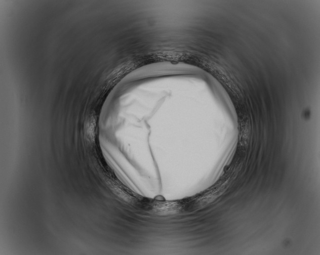 X0000099960334200806201343