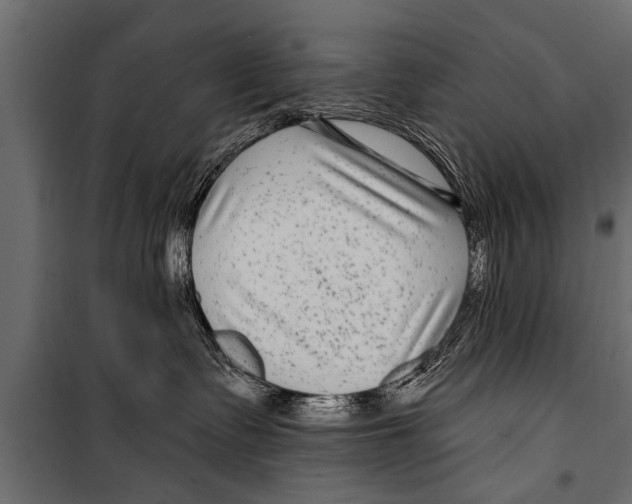 X0000099960335200806201343