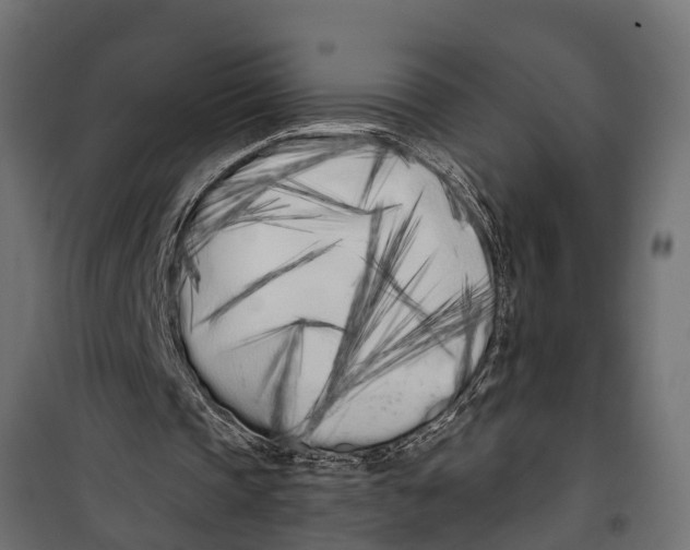 X0000099960337200806201342