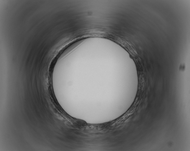 X0000099960338200806201342