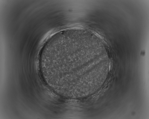 X0000099960339200806201342
