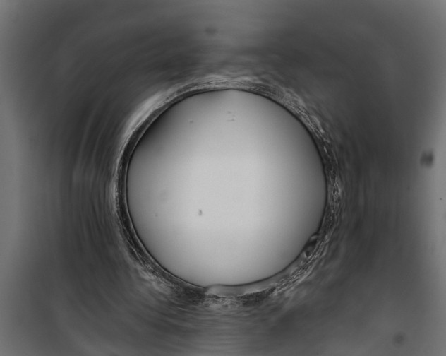 X0000099960340200806201342
