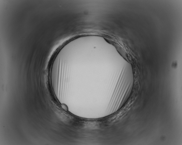 X0000099960342200806201342