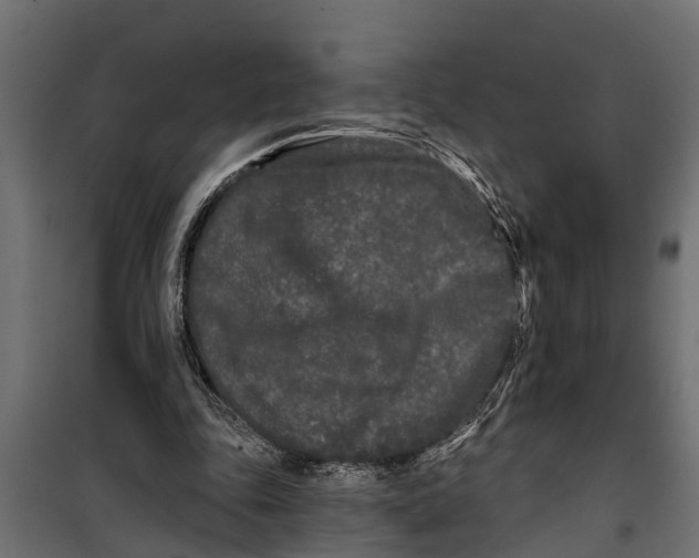 X0000099960343200806201342