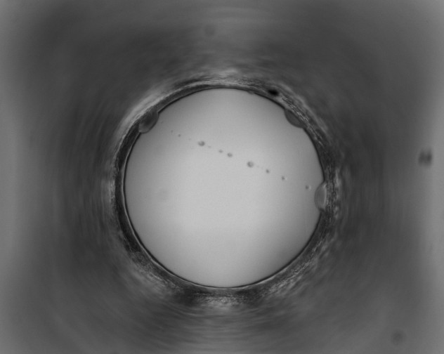 X0000099960344200806201342