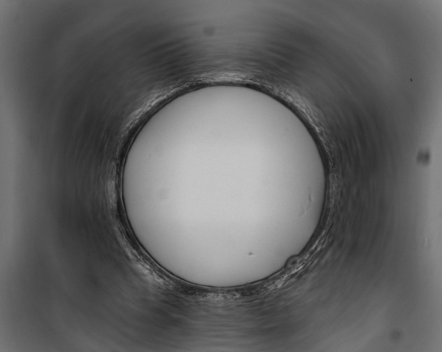 X0000099960345200806201342