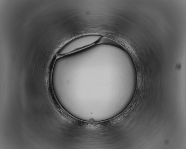 X0000099960346200806201342