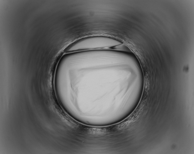 X0000099960347200806201342