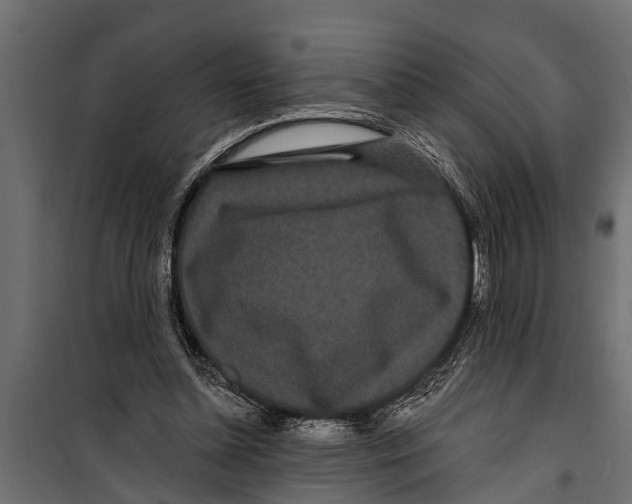 X0000099960348200806201342