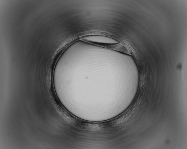 X0000099960349200806201342