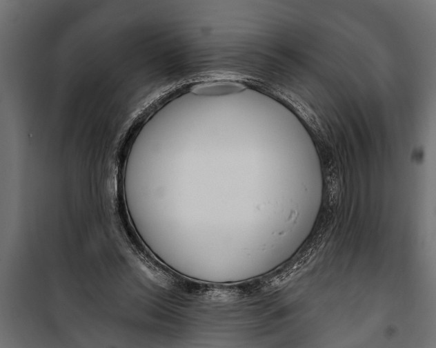 X0000099960350200806201342