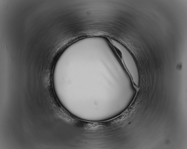 X0000099960351200806201342