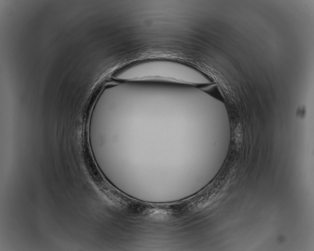 X0000099960352200806201342