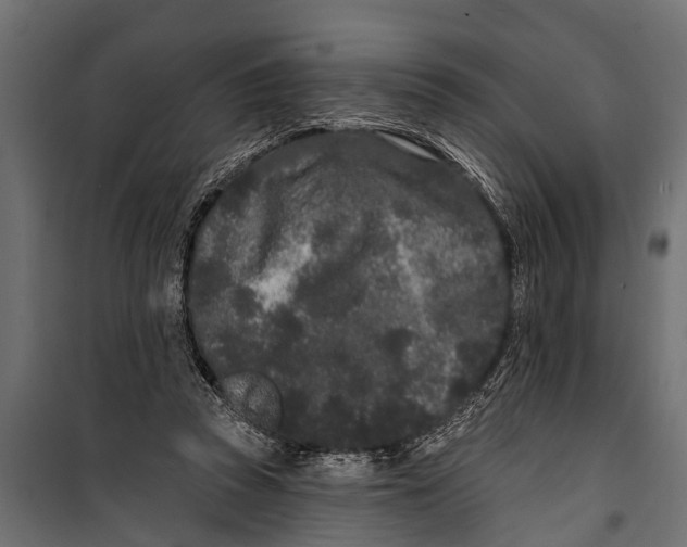 X0000099960353200806201342