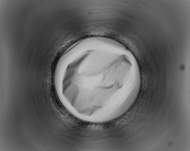 X0000099960354200806201342
