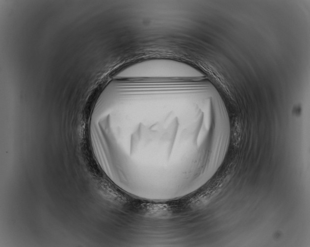 X0000099960355200806201342