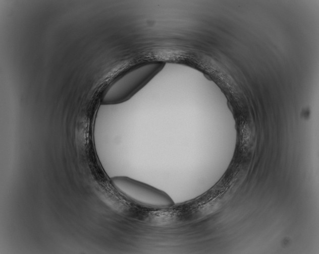 X0000099960356200806201342