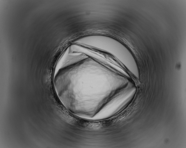 X0000099960357200806201342