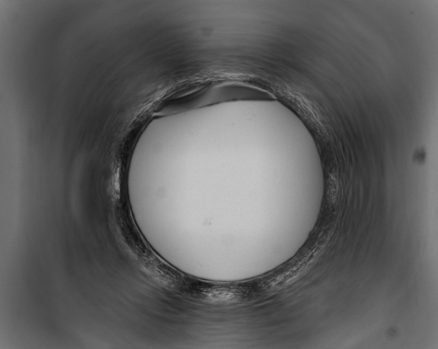 X0000099960358200806201342