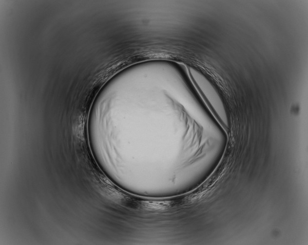X0000099960359200806201342