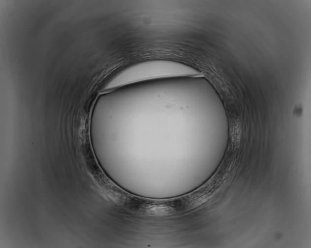 X0000099960360200806201342