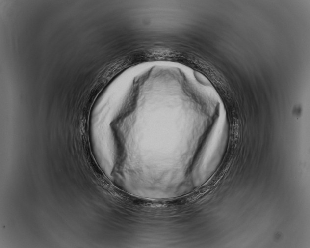 X0000099960361200806201342