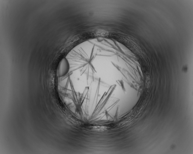 X0000099960363200806201342