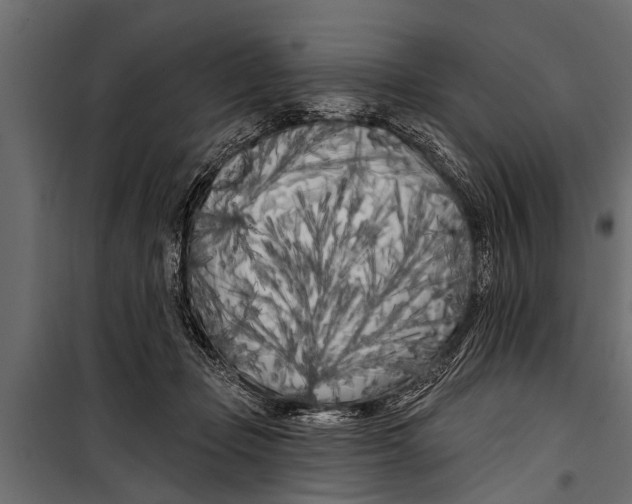 X0000099960365200806201342