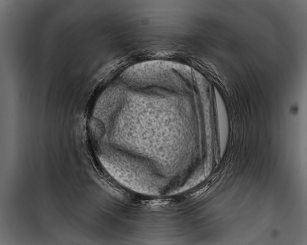 X0000099960366200806201343
