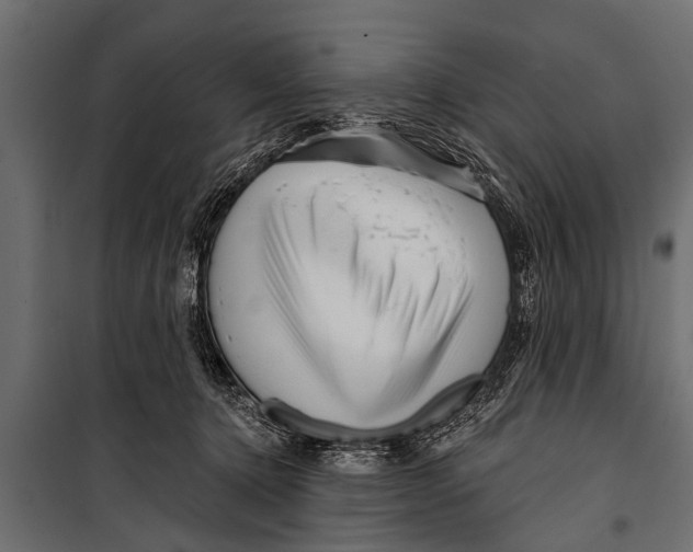 X0000099960368200806201343
