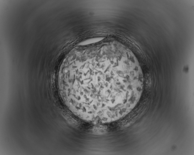 X0000099960369200806201343