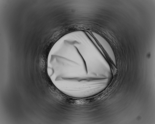 X0000099960371200806201343