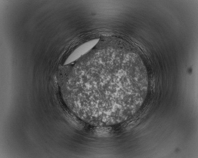 X0000099960373200806201343
