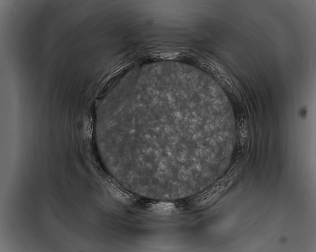 X0000099960374200806201343