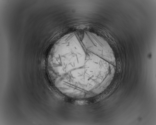 X0000099960375200806201343