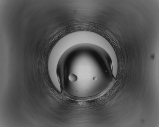 X0000099960376200806201343