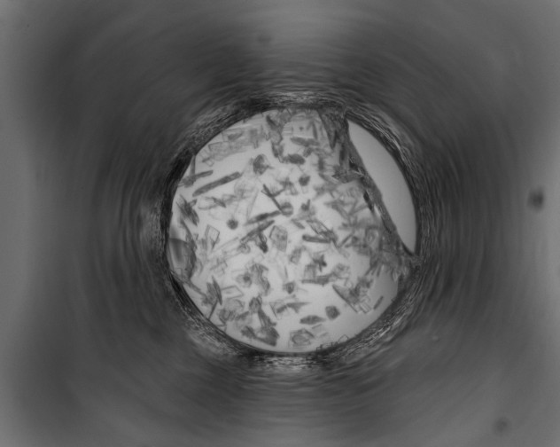X0000099960377200806201343