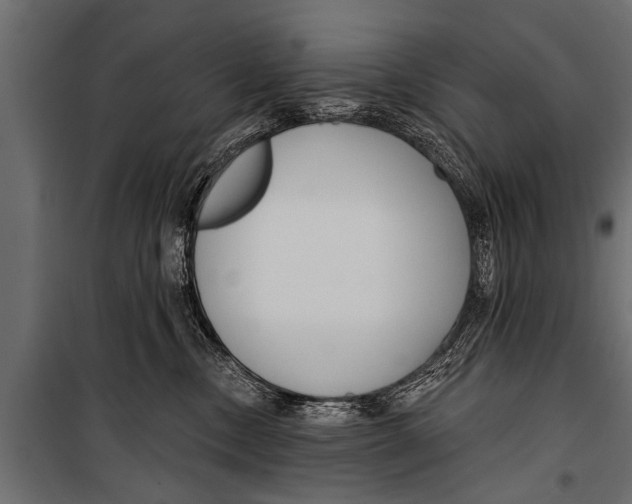 X0000099960378200806201343