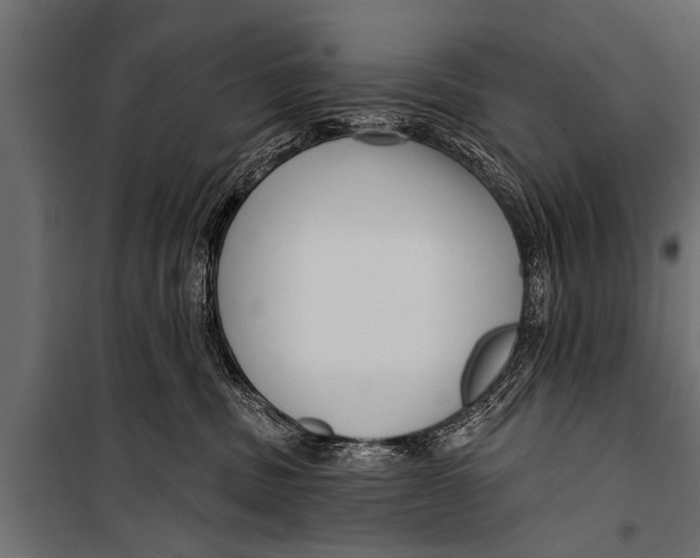 X0000099960379200806201343
